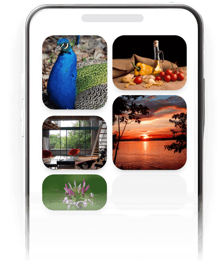Example of a phone's gallery to select a mosaic from
